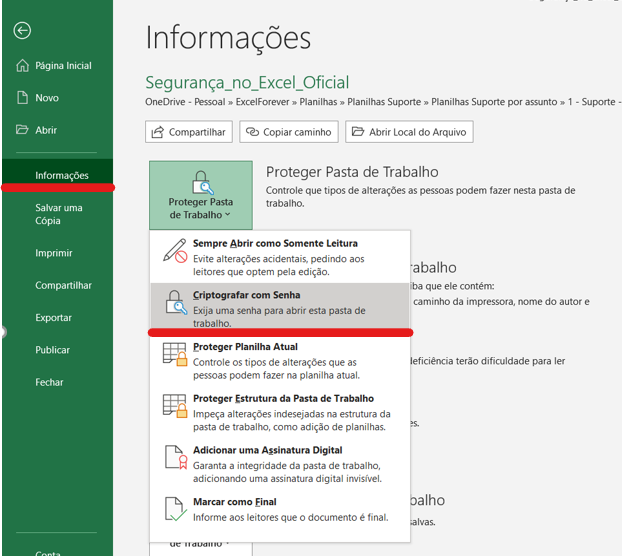 Campo criptografar com senha - CRIPTOGRAFAR PASTA COM SENHA NO EXCEL